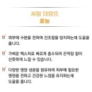 데땅뜨
