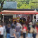 담양상회 | [전북 마이산상회] 많이 아쉬웠던 마이산 페이스트리 대왕 꽈배기집 솔직 후기