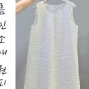 코코지니 이미지