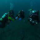 (주)파라다이스포인트 이미지