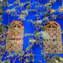이슬람 왕국 모로코의 정원을 찿아서 마라케시의 메디나 바히아 궁전,캑터스 티만,레그지라 해변으로 떠나는 걸어서 세계속으로(KBS,4/1 이미지