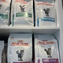 동물병원 움 이미지