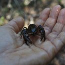 세탁세상 이미지