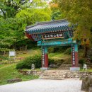 신원면-38 이미지