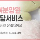 꾸야 PC 네이버블로그