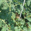 시흥1동주민센터 이미지