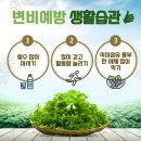 365굿모닝한방병원 이미지