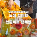 노점 | 제주동문시장 천혜향 귤 배송 후기, 노점 VS 선물세트 비교
