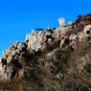 흥양농협남부주유소 이미지