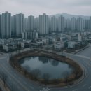 전국축산기기 | 이천시의회, 안흥지 고층 개발·교통대책 부재 지적…도시계획 개선 과제