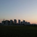 아라파크 이미지