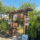 포레스트(4rest) 동물메디컬센터 | 전주 원당동 카페 추천, 정원이 예술인 데이어스 포레스트(Day us For-Rest) 내돈내산 후기