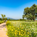 밀양동명중고등학교 이미지