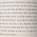 도서전 얼리버드 광탈 후 쓰는 지난 두 달간의 여정