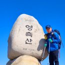 1181 | 영축산 1,181m