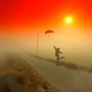 눈으로보는세상 이미지