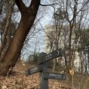 월드마트 남현점 | 기 받으러 가는 관악산 텔콤빌딩 코스. 주차, 코스 안내
