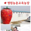 평원농장 이미지