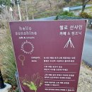 청도 데이트 코스 캠핑 카페 가볼 만한 곳 헬로 선샤인
