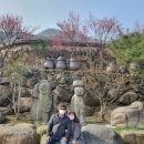 국실농장 | 광양 매화마을 홍쌍리 청매실농원 꽃구경