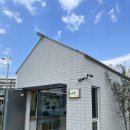 스테이토성당 이미지