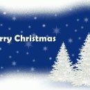 미스터홈케어 이미지