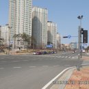 동서대로사거리 이미지