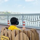 헬로멍푸드 이미지