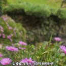 화평 이미지