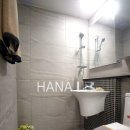 우분투포레스트 이미지