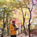 금강공원 이미지