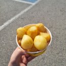 정림로 | 60대 엄마랑 부여여행 1박2일 코스 후기 (맛집 카페 명소 위주)