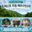크로스나인 | [충북 제천] 포레스트 리솜 해브나인스파 내돈내산 이용후기｜가격, 준비물, 스톤스파, 수유실 꿀팁...