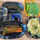 육백더육백 이미지