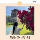 서부주유소 | 수원 행리단길 장미 명소 행궁동 포토스팟 추천 모음 zip