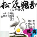 산천초목 이미지