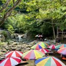 대구민박 | 경남 함양 가볼만한곳 얼음골산장 계곡 평상 백숙 펜션