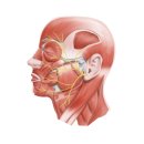 보령정한의원 이미지