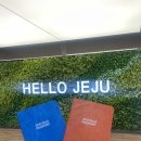 제주 올레길 16코스 | 제주 올레길 14코스 후기 / 올레길 추천