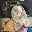 토리헤어성성점 | 초등학생 헤어스타일 긴머리 웨이브펌 <성성동 토리헤어>