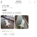 띠에 이미지