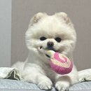 몽글멍글 이미지