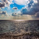 야옹하다 이미지