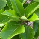 김종훈 농장 이미지