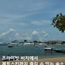 CEBU | 세부 숙소 추천 | 수영장, 프라이빗 비치, 액티비티 후기 (Cebu White Sands)