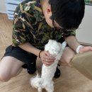 멈무까 이미지