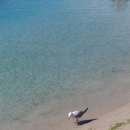 브리즈번 이미지