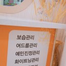 코람데오스킨케어 | [송촌동 피부관리] 코람데오 스킨케어 만족후기♡