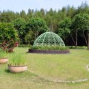 태화강국가정원 이미지