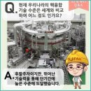 직구나라